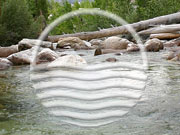 Picture of wooded stream with Pure Waters Logo.