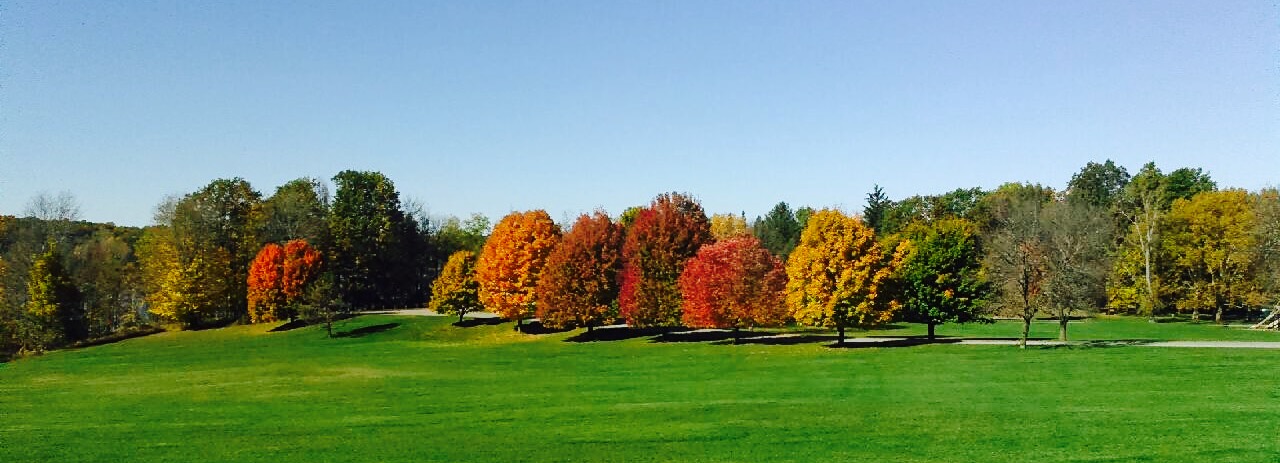Image of the fall foliage within mendon ponds park